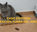 gato hace caca fuera del arenero caso Maggie